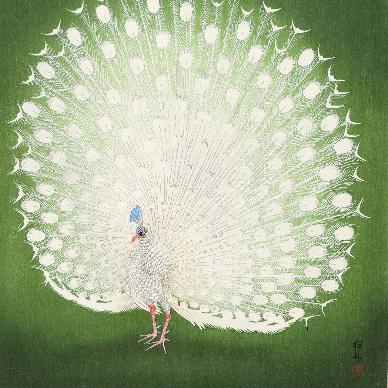 Ohara Koson - Japonica Graphic