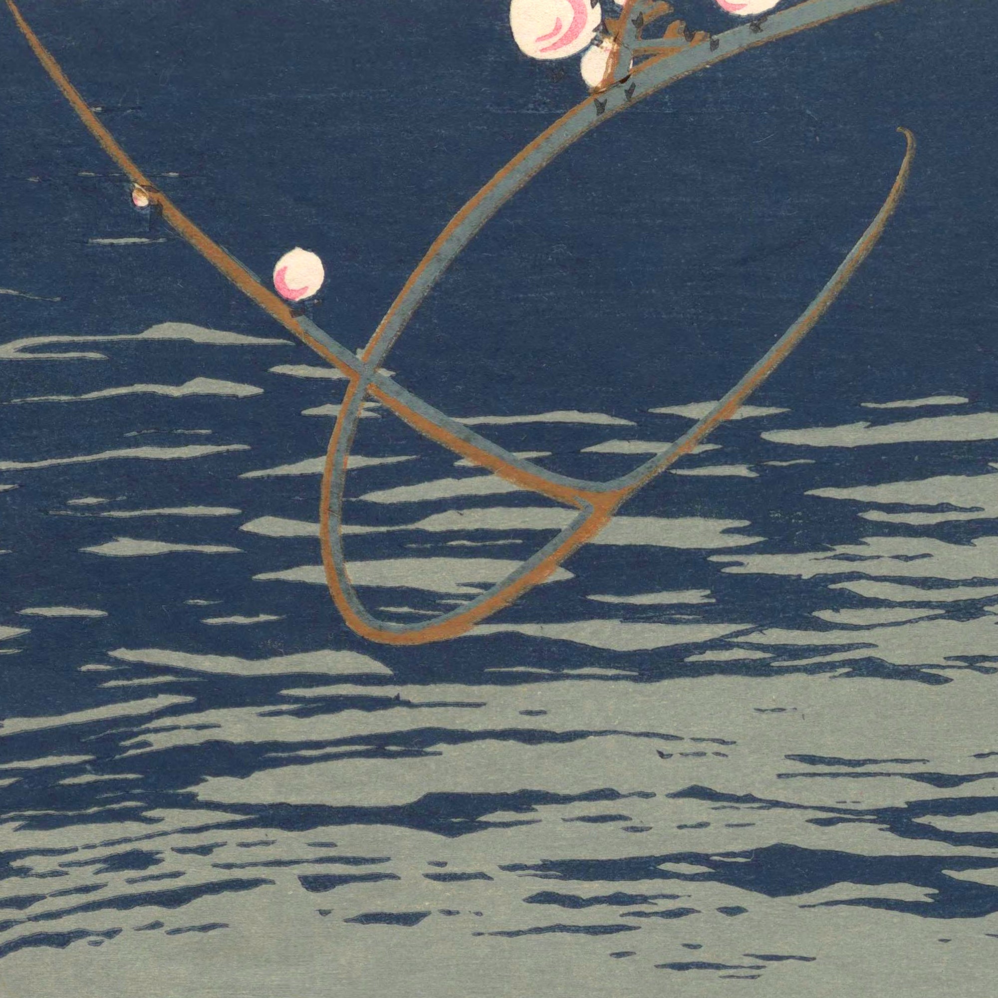 Waterfowl and Plum Blossoms