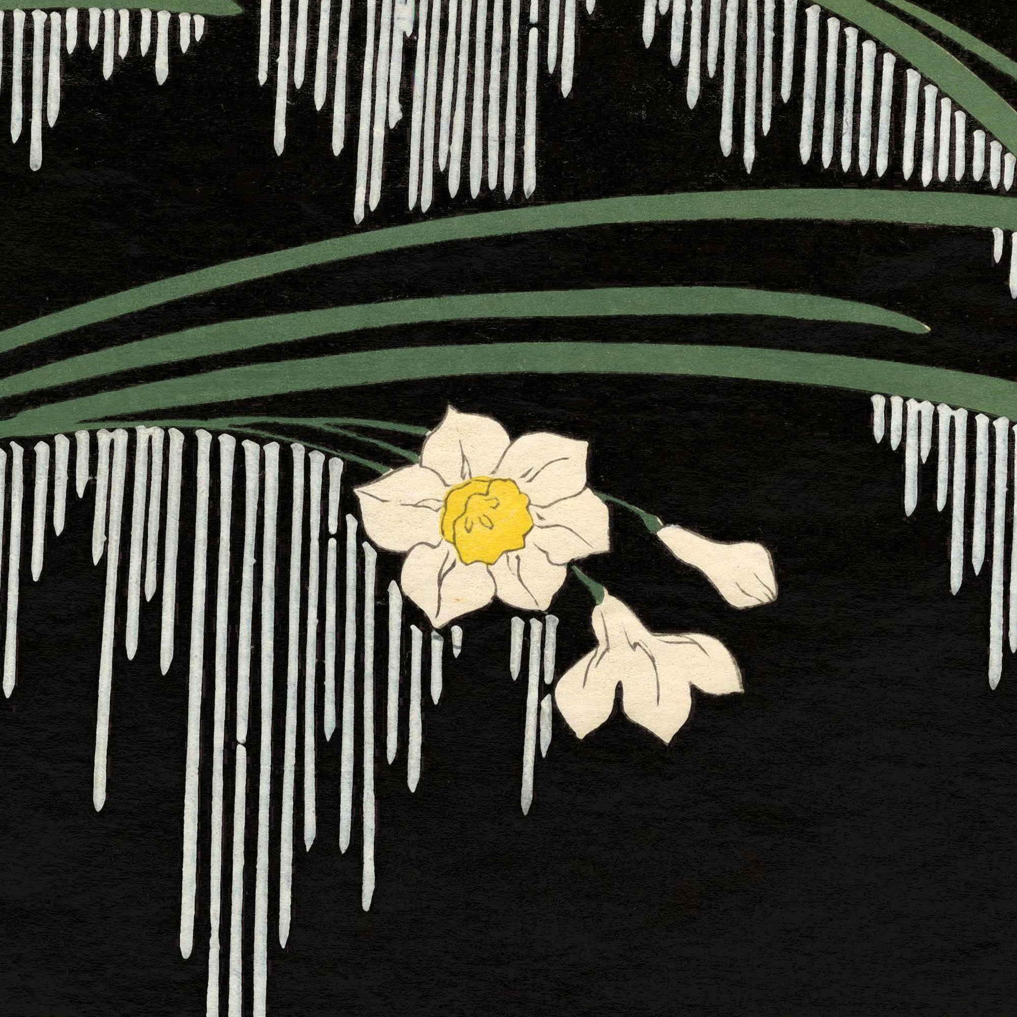 Narcissus and Icicles