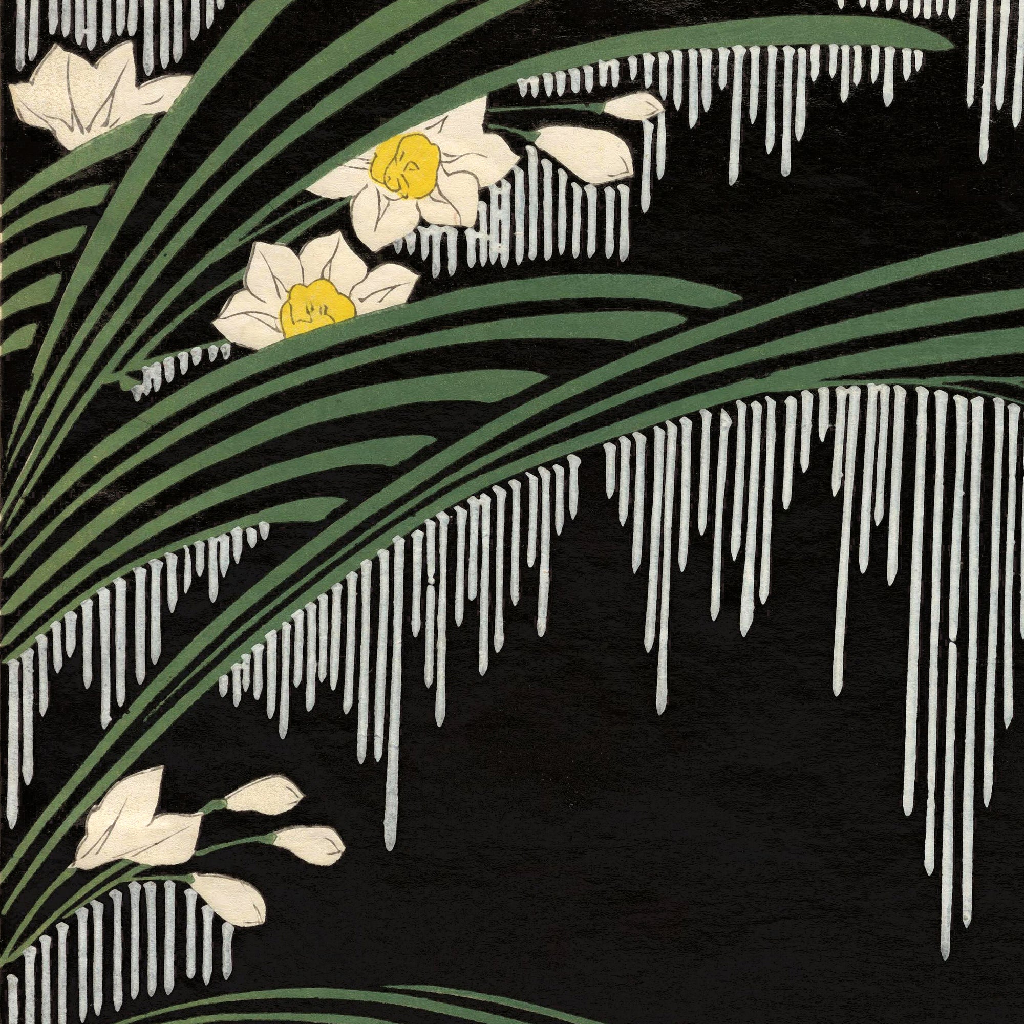 Narcissus and Icicles
