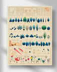 Chart of plants I - Japonica Graphic