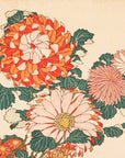 Chrysanthemums and bee - Japonica Graphic