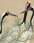 Cranes - Japonica Graphic