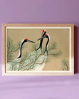 Cranes - Japonica Graphic