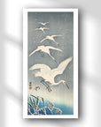Descending egrets in snow - Japonica Graphic