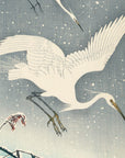 Descending egrets in snow - Japonica Graphic