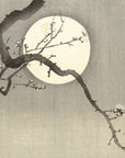 Ducks at full moon - Japonica Graphic