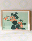 Hibiscus and sparrow - Japonica Graphic