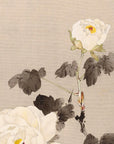 Peonies and young bird - Japonica Graphic