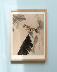 Three Birds on Branch - Japonica Graphic