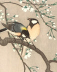 Tits on Cherry Branch - Japonica Graphic