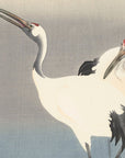 Two cranes - Japonica Graphic