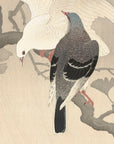 Two doves on a branch - Japonica Graphic