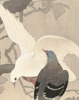 Two doves on a branch - Japonica Graphic