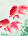 Two Goldfish - Japonica Graphic