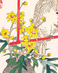 Wintersweet and Parrot - Japonica Graphic
