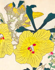 yellow hollyhock and brocaded chicken - Japonica Graphic