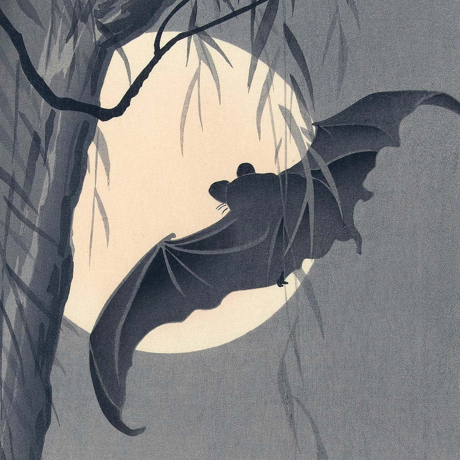 Bats and full moon - Japonica Graphic