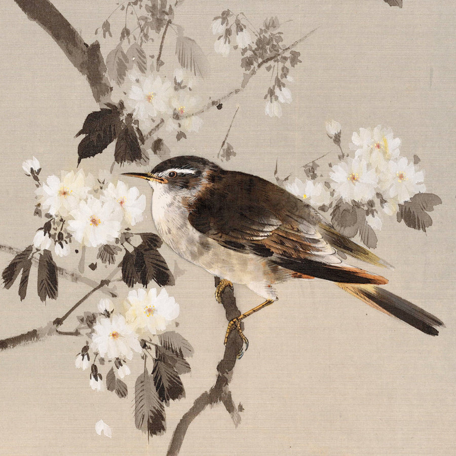 Birds on a Flowering Branch - Japonica Graphic