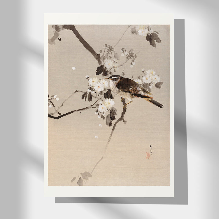 Birds on a Flowering Branch - Japonica Graphic