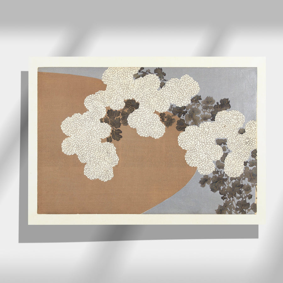 Chrysanthemum - Japonica Graphic