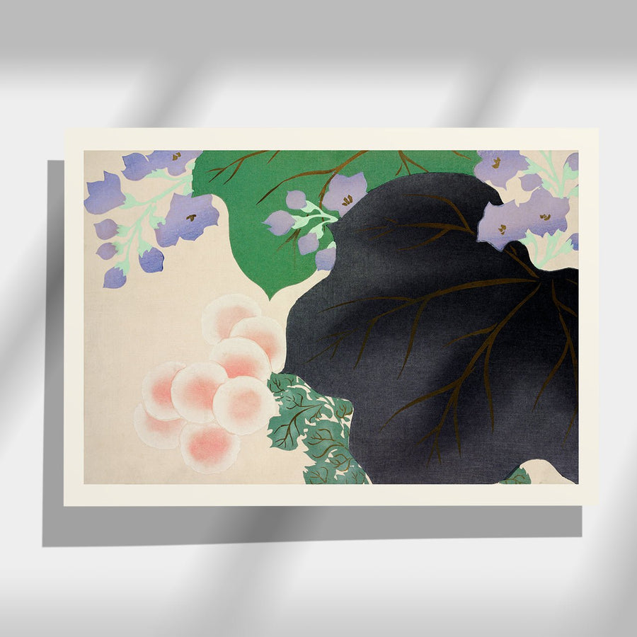 Chrysanthemum and Paulownia - Japonica Graphic