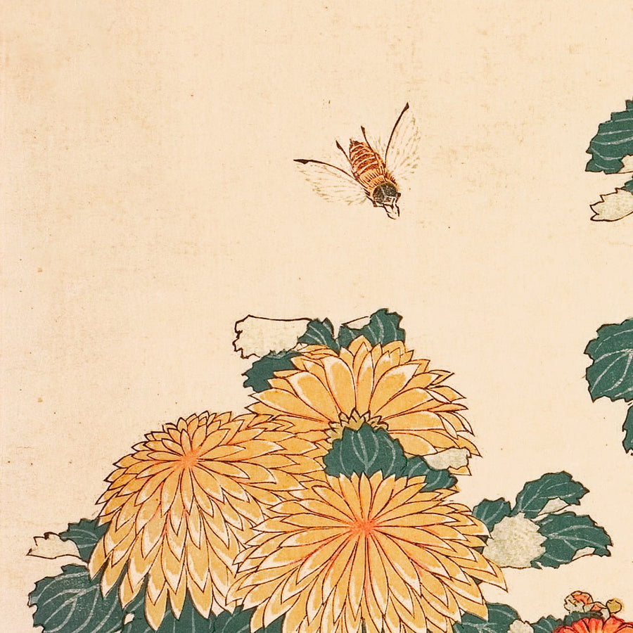 Chrysanthemums and bee - Japonica Graphic
