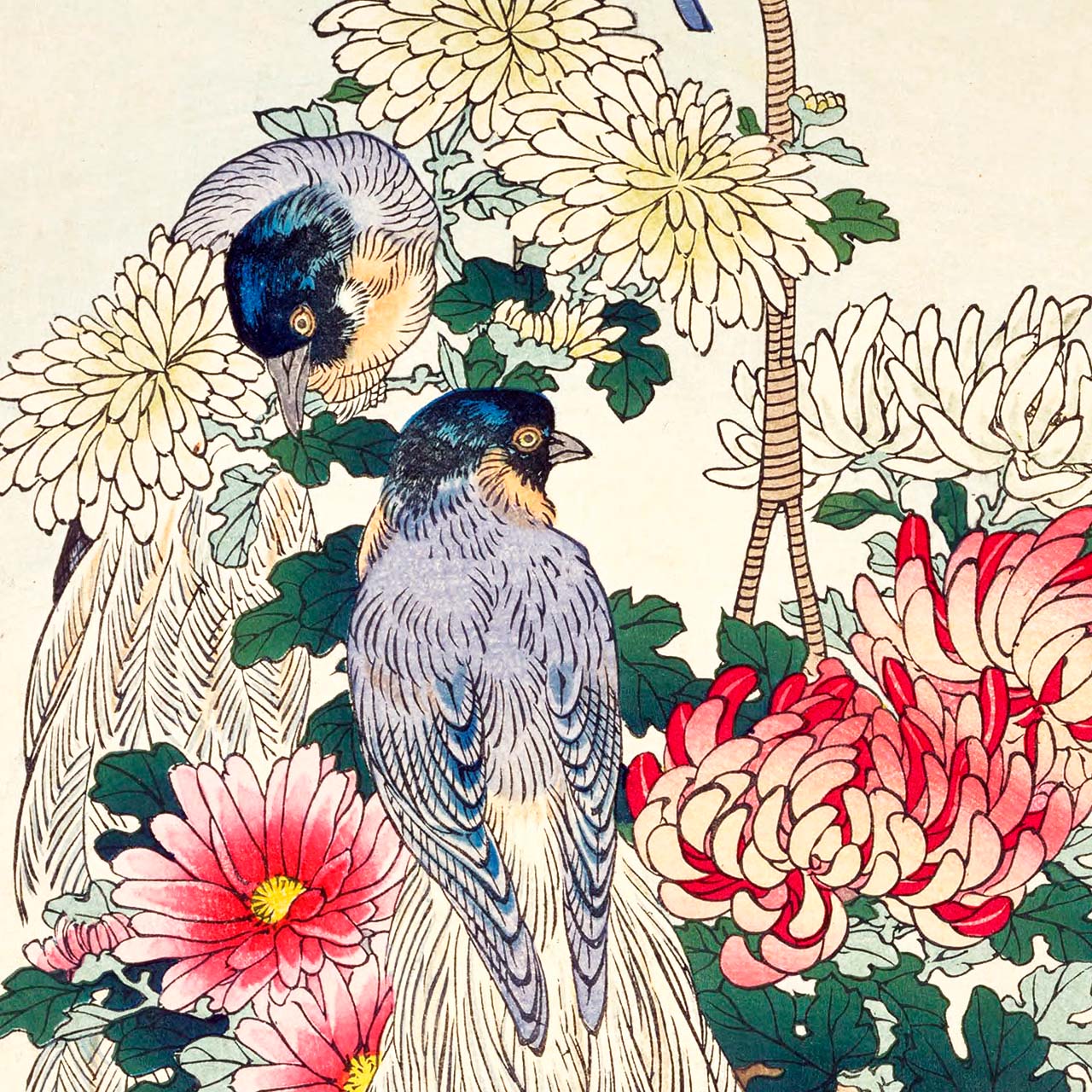 Chrysanthemums and Bird-of-paradise - Japonica Graphic