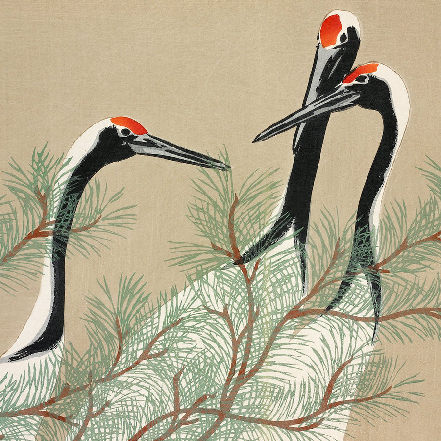 Cranes - Japonica Graphic