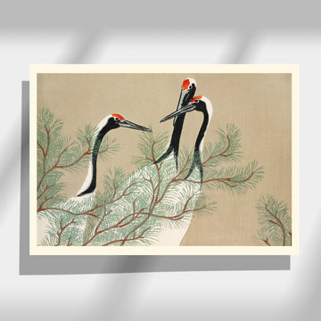 Cranes - Japonica Graphic