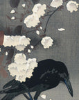 Crow on a cherry branch - Japonica Graphic