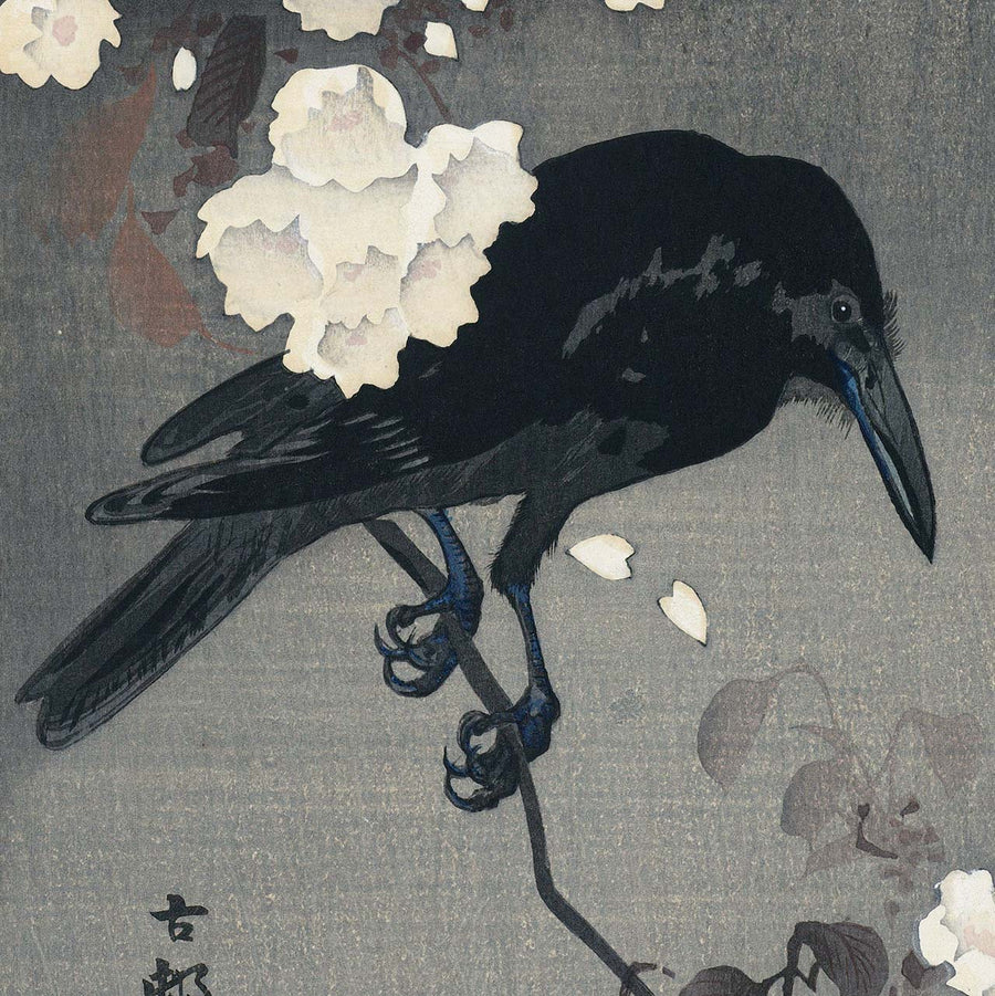 Crow on a cherry branch - Japonica Graphic
