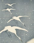 Descending egrets in snow - Japonica Graphic