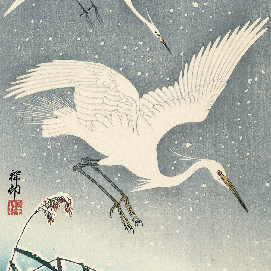 Descending egrets in snow - Japonica Graphic
