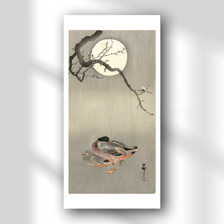 Ducks at full moon - Japonica Graphic