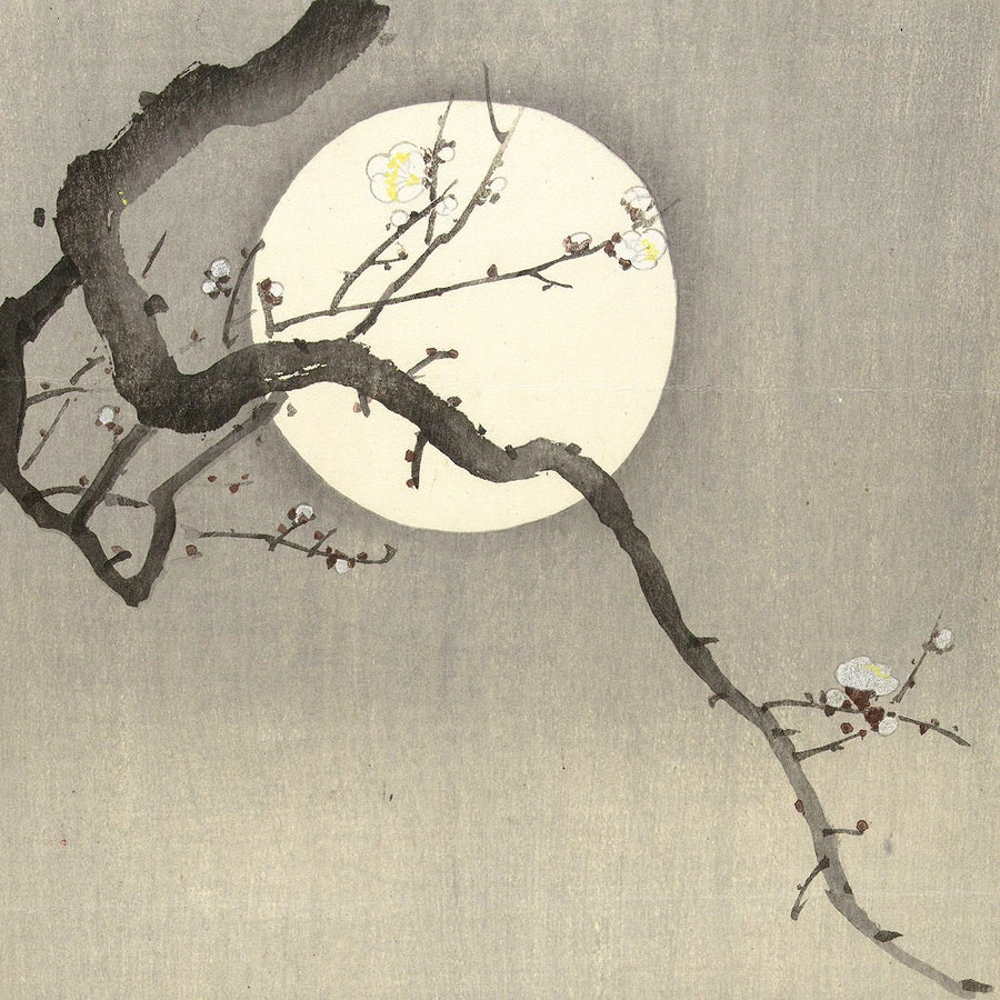 Ducks at full moon - Japonica Graphic