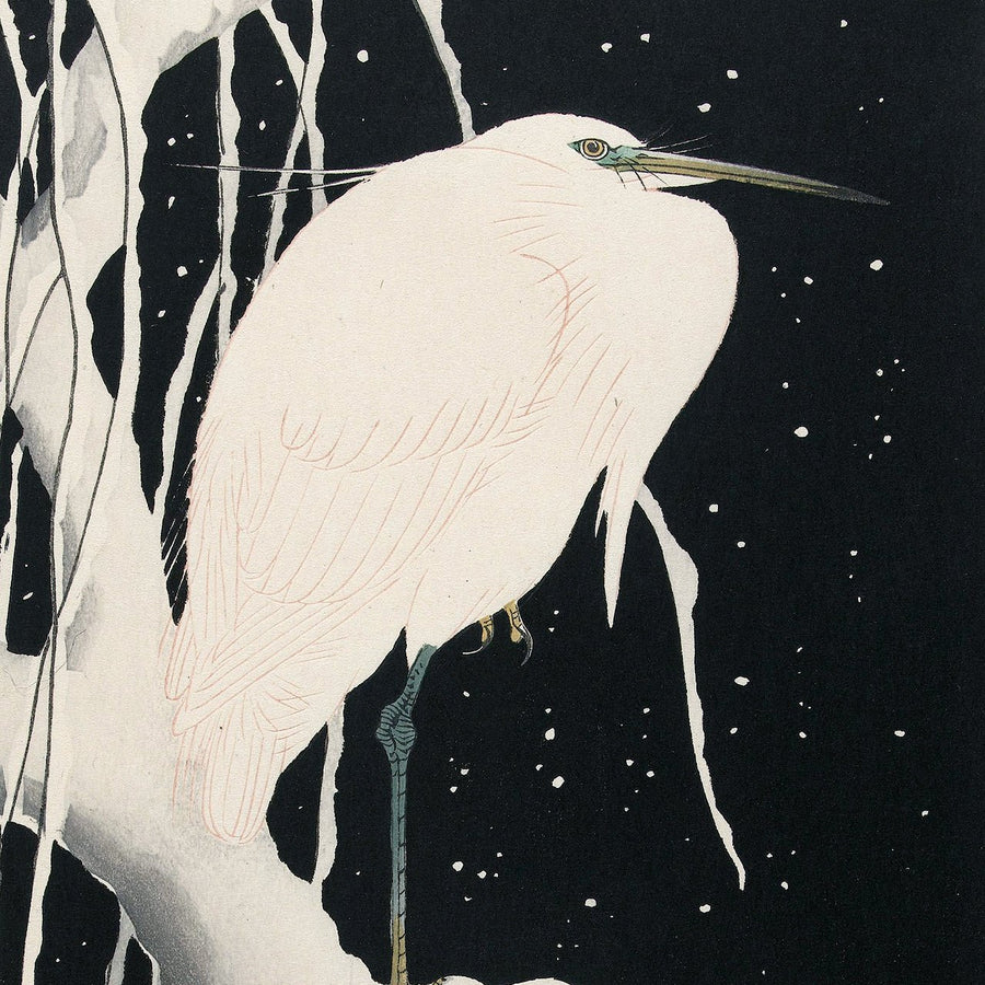 Egret in snow - Japonica Graphic