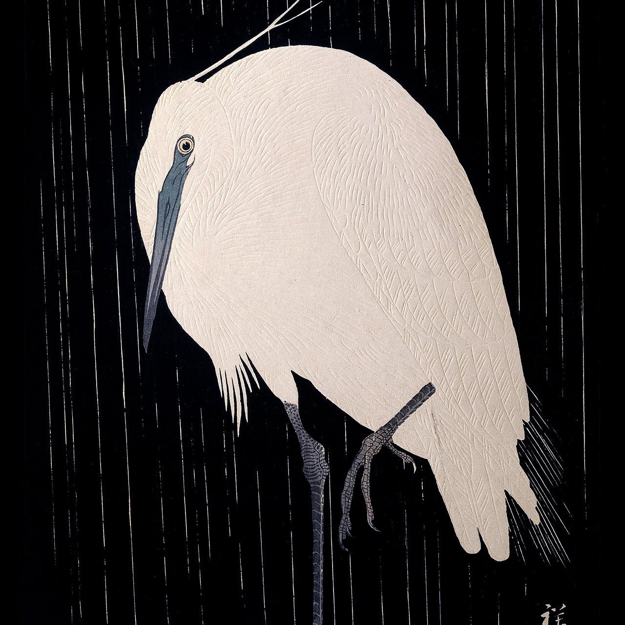 Egret in the rain - Japonica Graphic