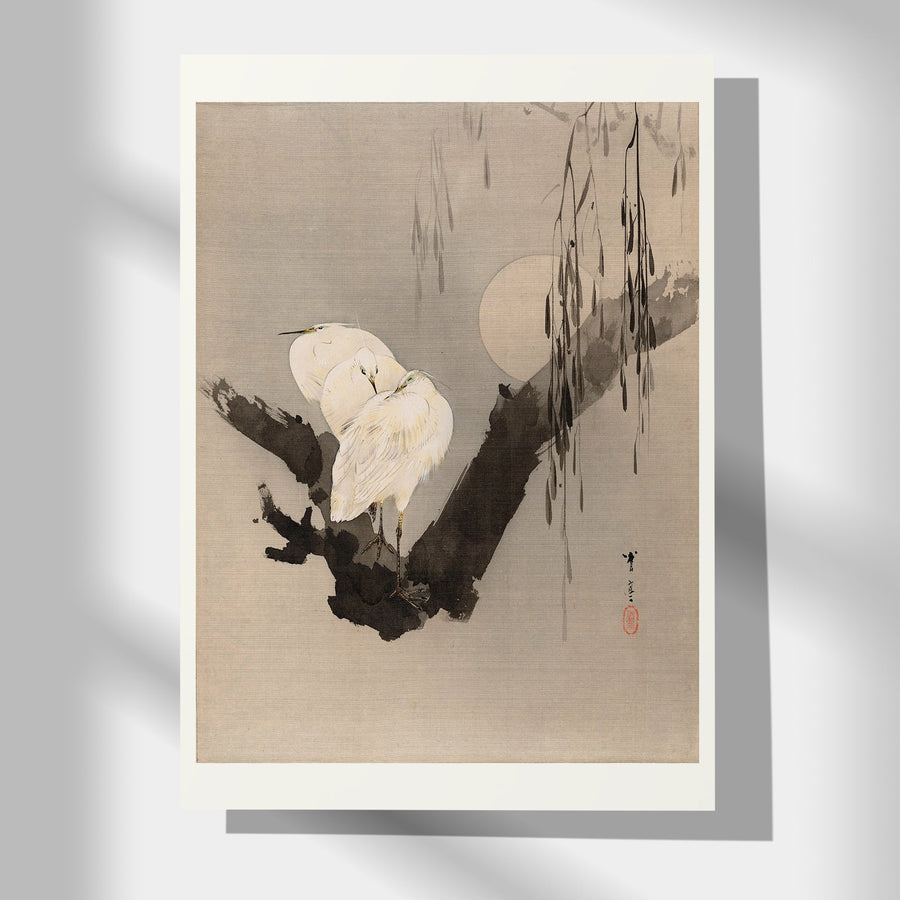 Egrets in a Tree at Night - Japonica Graphic