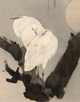 Egrets in a Tree at Night - Japonica Graphic