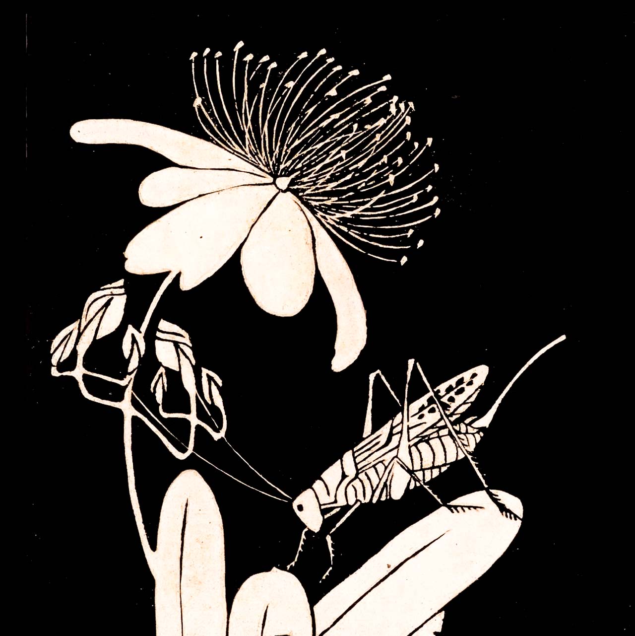 Mio Yanagi - Japonica Graphic