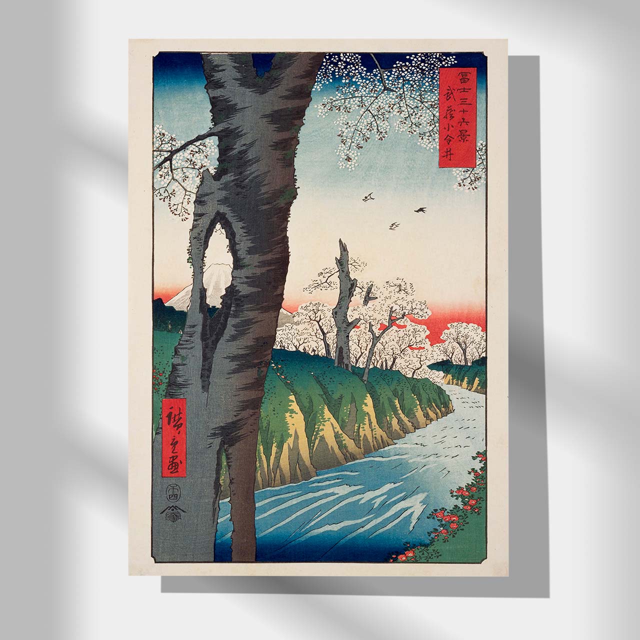 Musashikoganei - Japonica Graphic