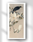 Myna on Magnolia Branch - Japonica Graphic