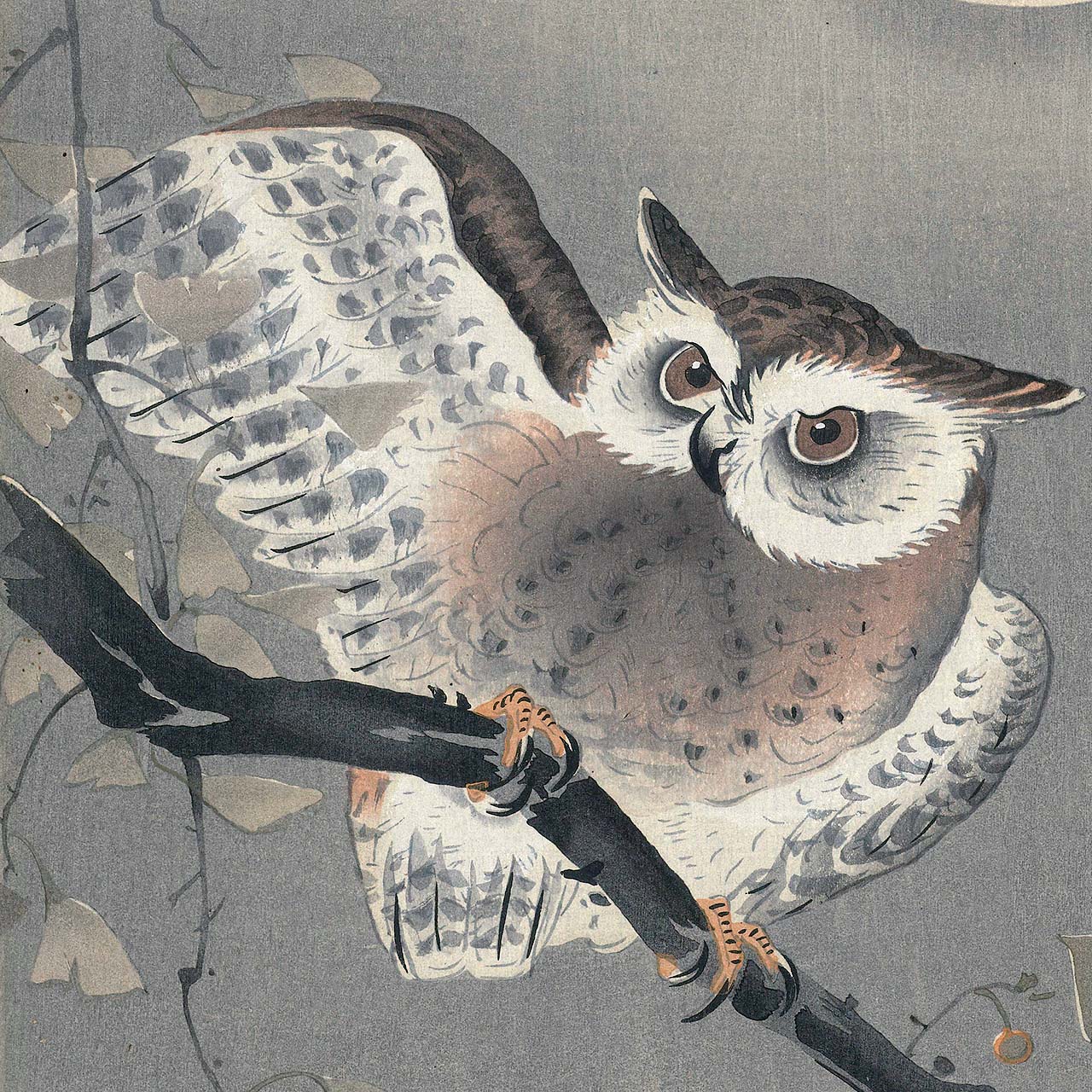 Owl in ginkgo - Japonica Graphic