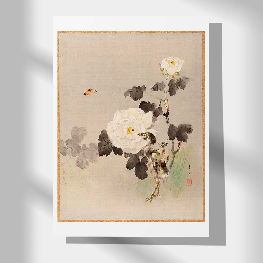Peonies and young bird - Japonica Graphic