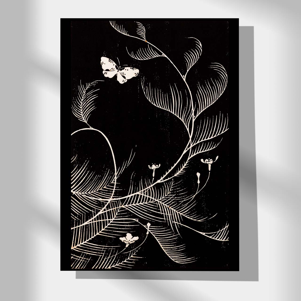 Ranunculus nipponicus - Japonica Graphic