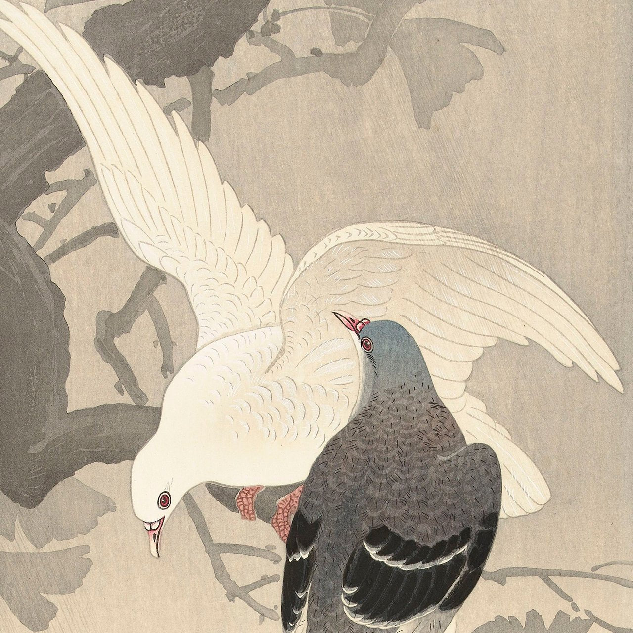 Two doves on a branch - Japonica Graphic