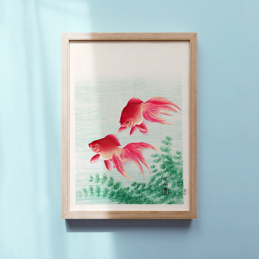 Two Goldfish - Japonica Graphic