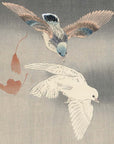 Two pigeons with falling ginko leaves - Japonica Graphic