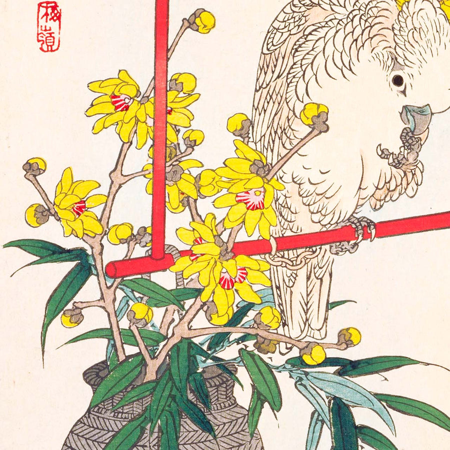 Wintersweet and Parrot - Japonica Graphic